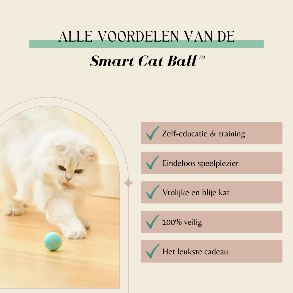 Smart Cat Ball